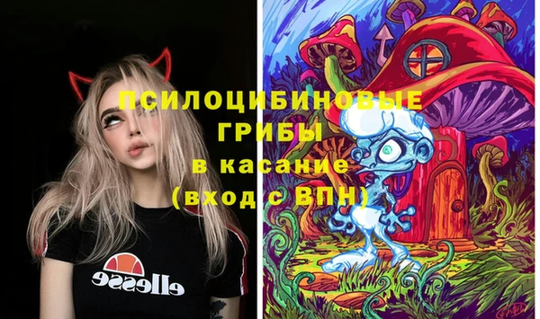 амф Бугульма