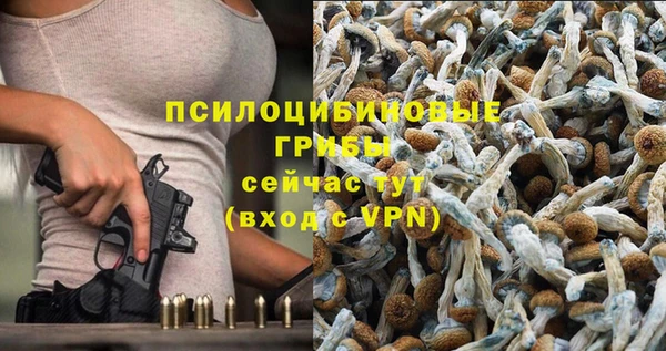 амф Бугульма
